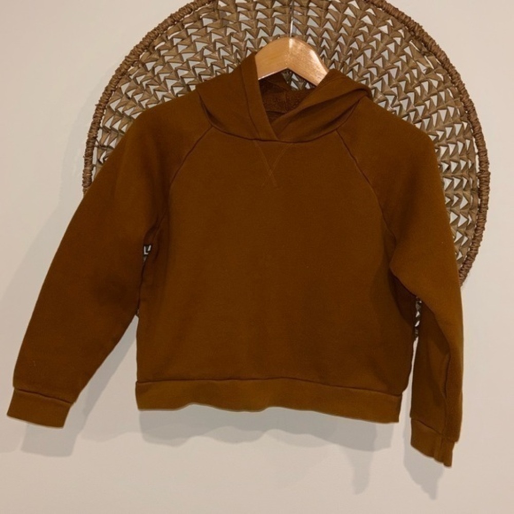 Madewell Brown Hoodie Sweatshirt